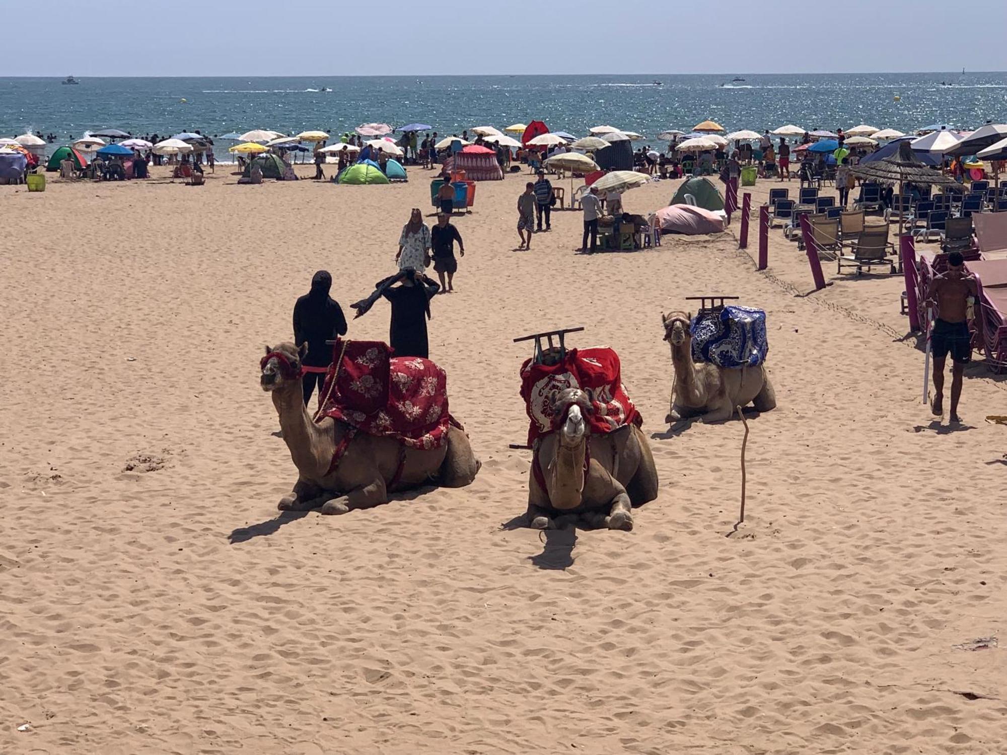 Luxury Apartment In Agadir Bay 外观 照片